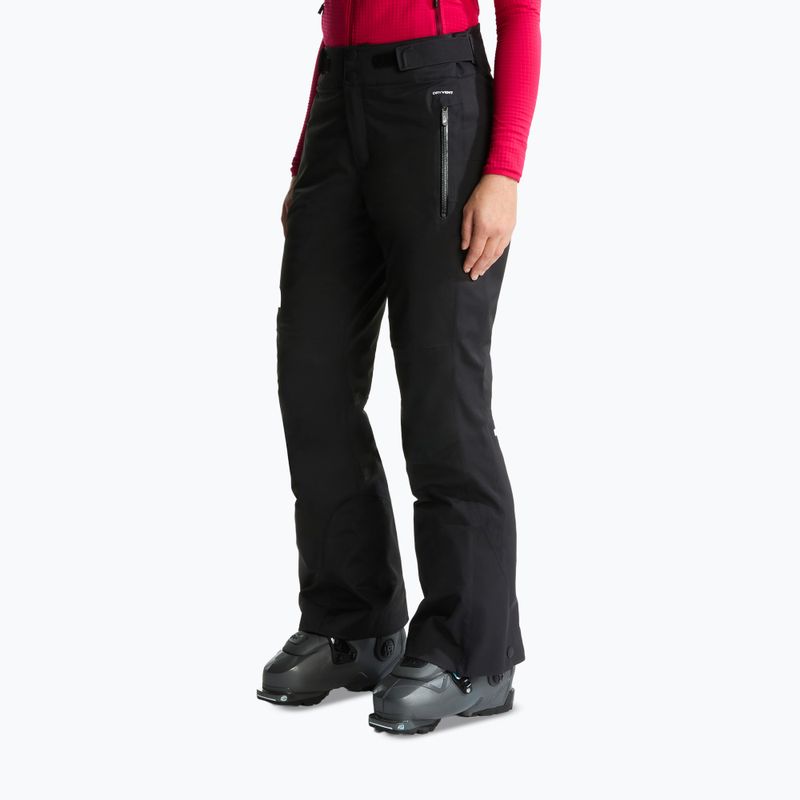 Moteriškos slidinėjimo kelnės The North Face Lenado tnf black
