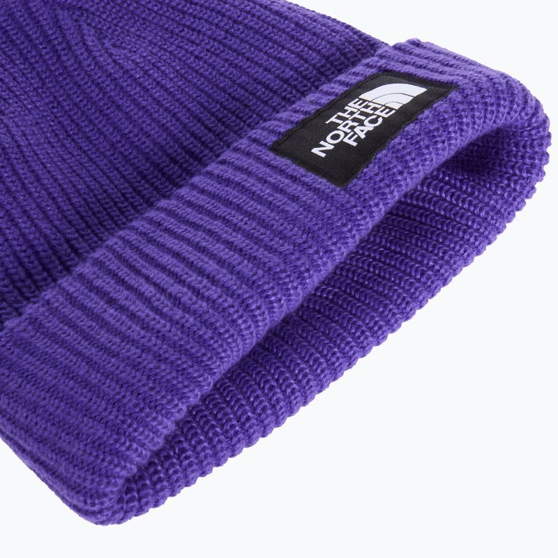 Žieminė kepurė The North Face Salty Lined peak purple 2