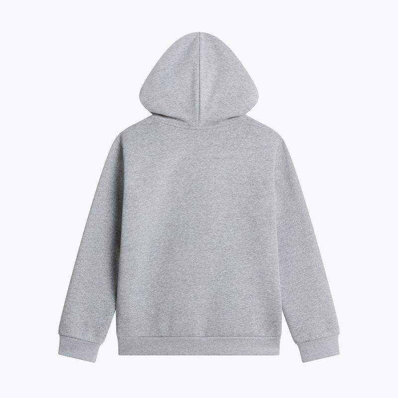 Vaikiškas džemperis The North Face Evolution Simple Dome Pullover Hood tnf pale grey heather 2