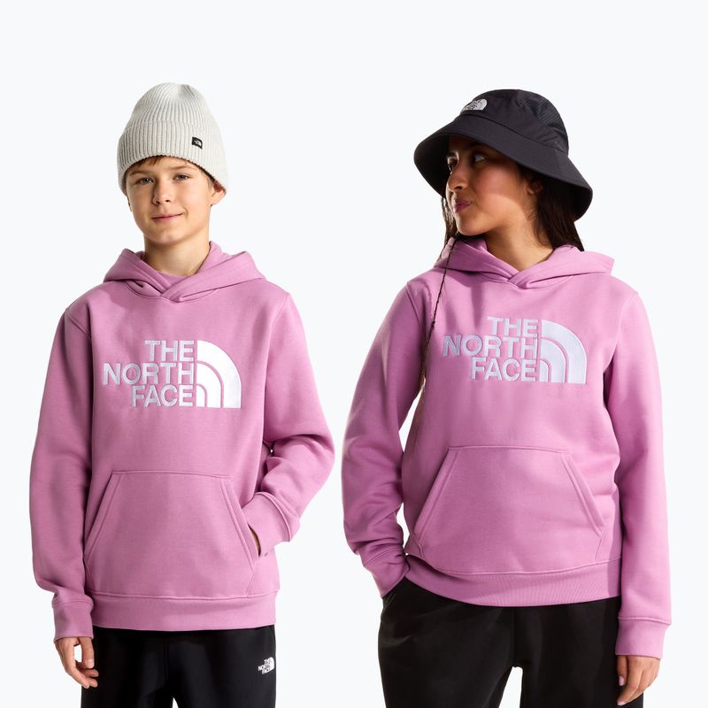Vaikiškas džemperis The Noryh Face Essential Drew Peak Hoodie hushed lavender 3