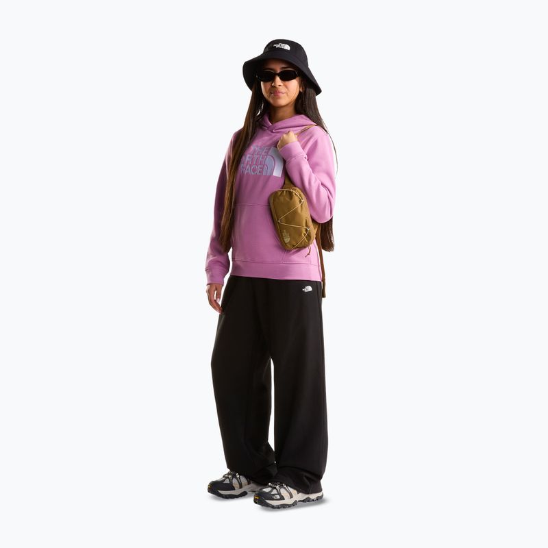 Vaikiškas džemperis The Noryh Face Essential Drew Peak Hoodie hushed lavender 4