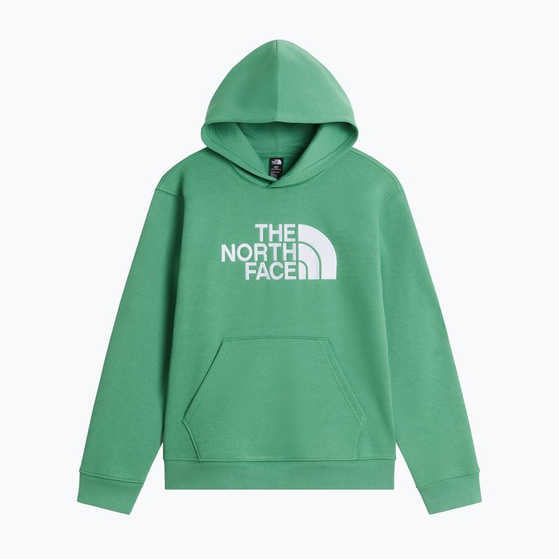 Vaikiškas džemperis The Noryh Face Essential Drew Peak Hoodie dimmed algae