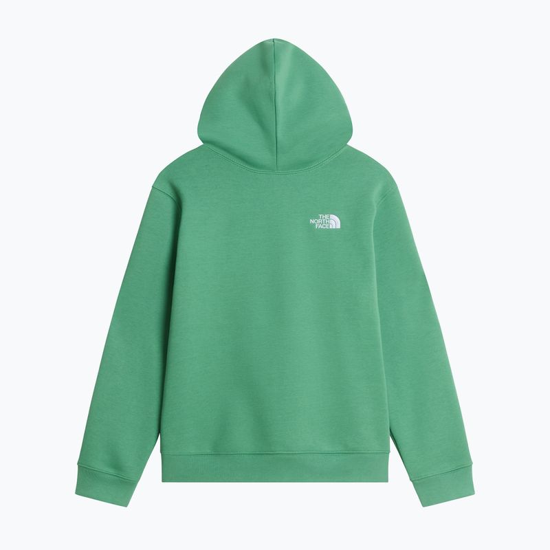 Vaikiškas džemperis The Noryh Face Essential Drew Peak Hoodie dimmed algae 2