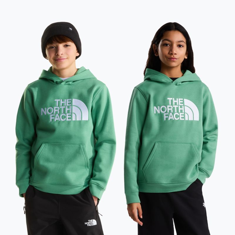 Vaikiškas džemperis The Noryh Face Essential Drew Peak Hoodie dimmed algae 3
