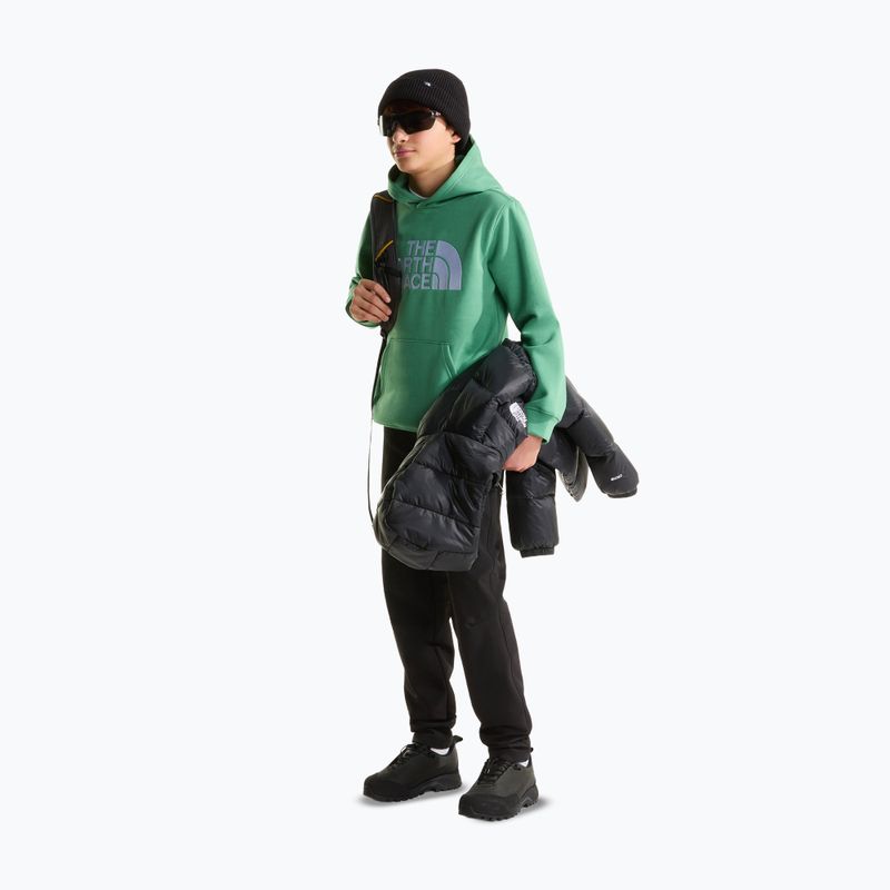 Vaikiškas džemperis The Noryh Face Essential Drew Peak Hoodie dimmed algae 4