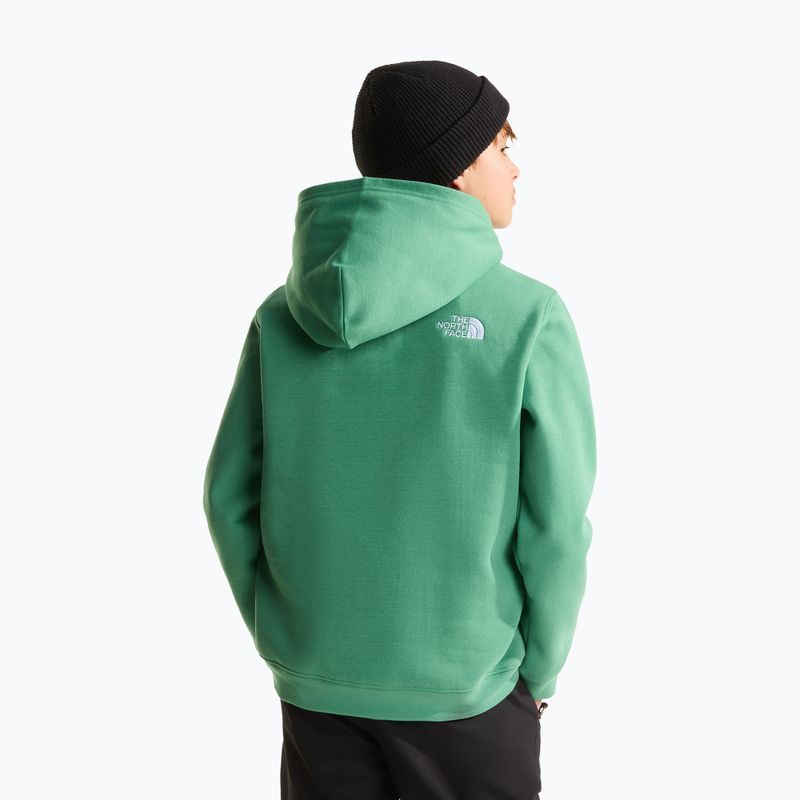 Vaikiškas džemperis The Noryh Face Essential Drew Peak Hoodie dimmed algae 5