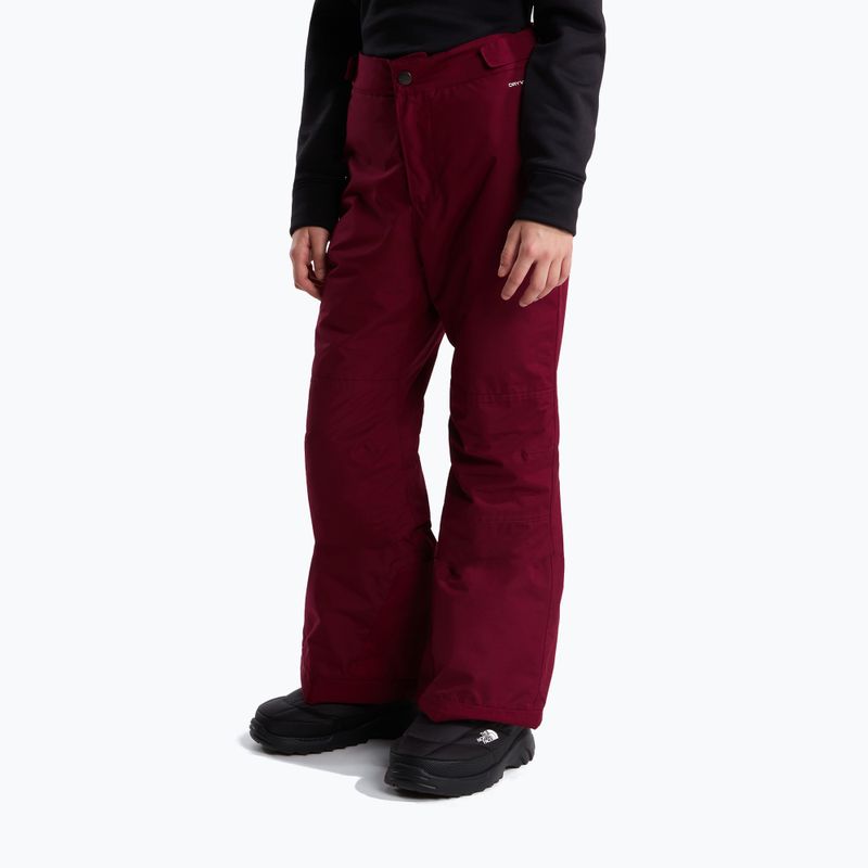 Vaikiškos slidinėjimo kelnės The North Face Freedom Insulated burgundy crush