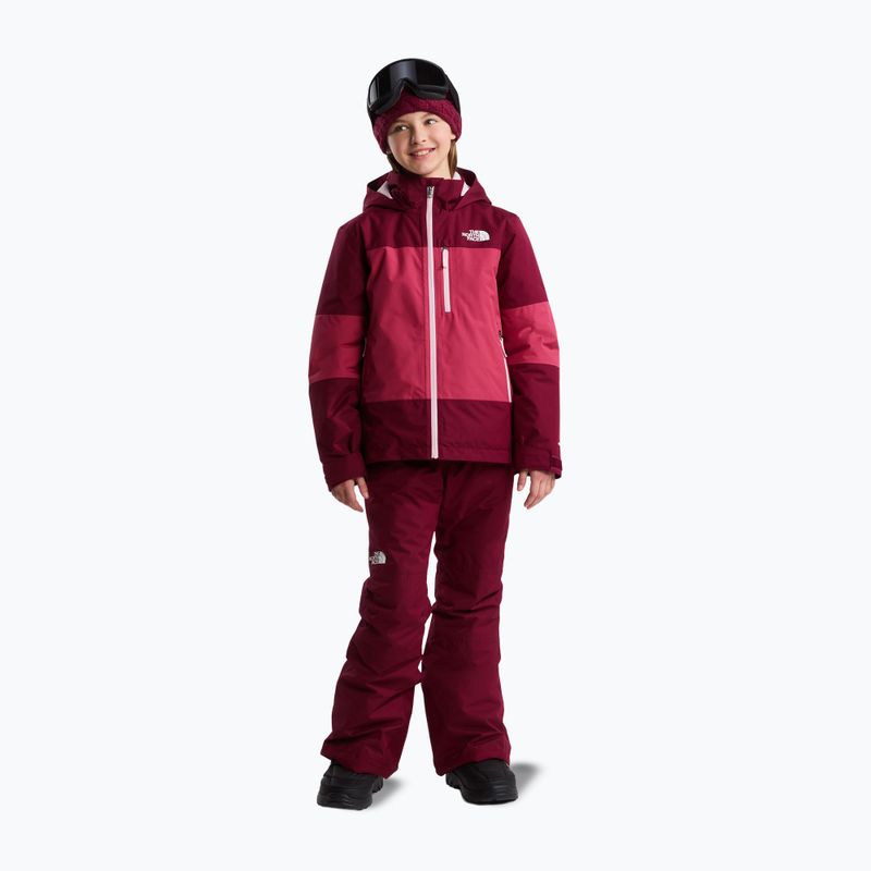 Vaikiškos slidinėjimo kelnės The North Face Freedom Insulated burgundy crush 2