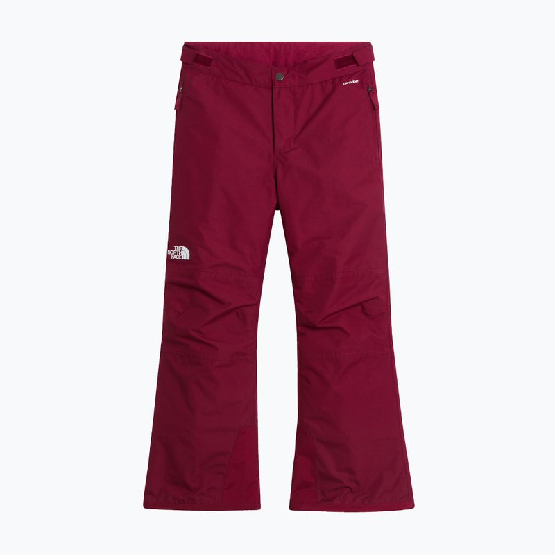 Vaikiškos slidinėjimo kelnės The North Face Freedom Insulated burgundy crush 4