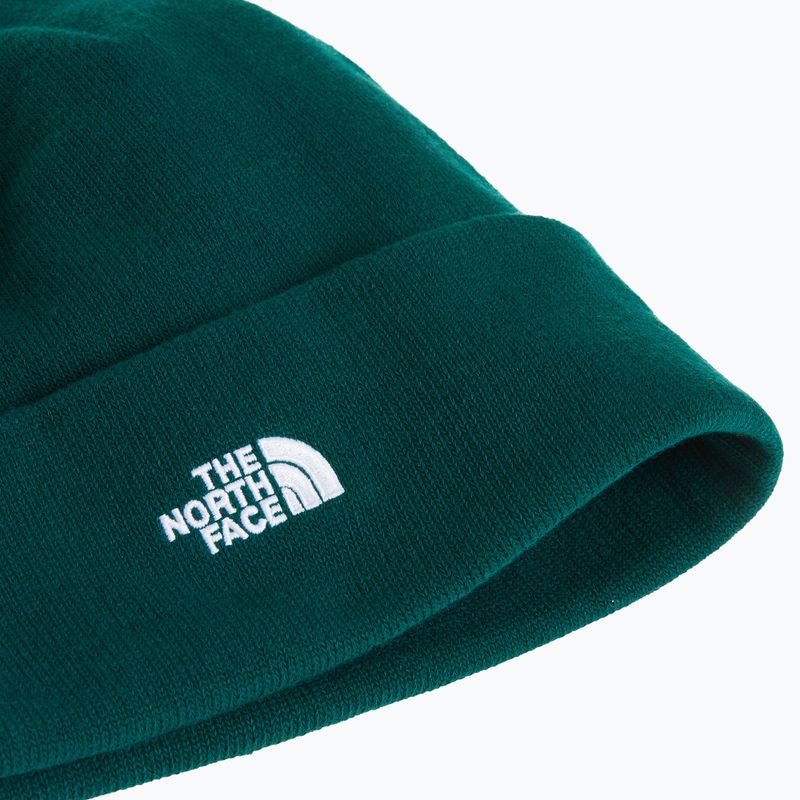 Žieminė kepurė The North Face Norm Beanie hunter green 2