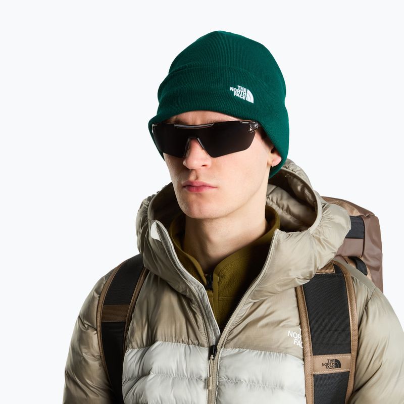 Žieminė kepurė The North Face Norm Beanie hunter green 3