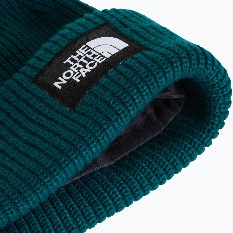 Žieminė kepurė The North Face Salty Lined pacific teal 2