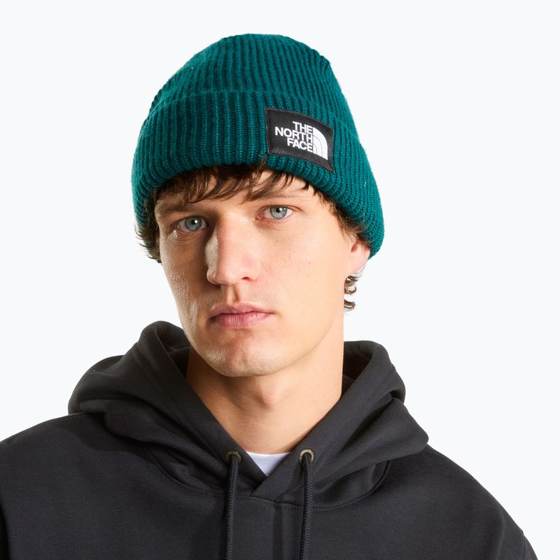 Žieminė kepurė The North Face Salty Lined pacific teal 3