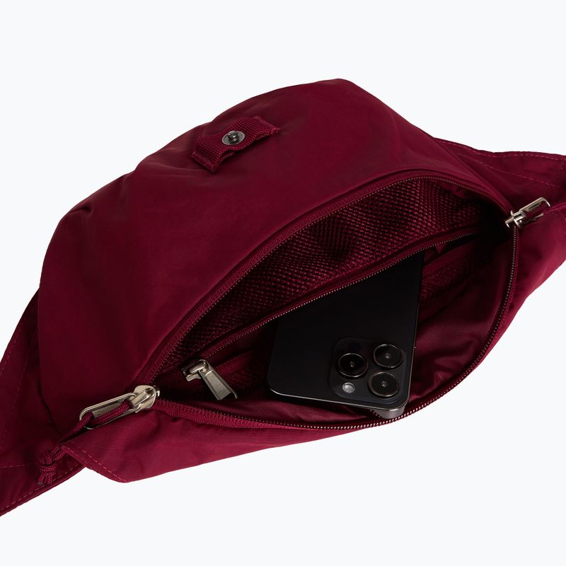Juosmes krepšys The North Face Glen Canyon Lumbar burgundy crush 4