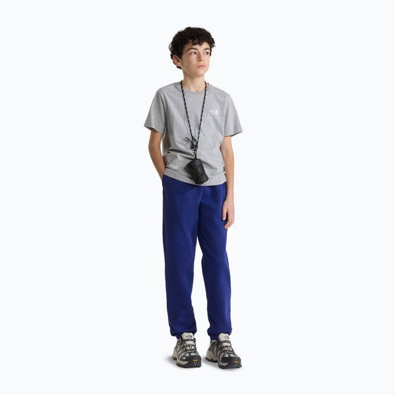 Vaikiški marškinėliai The North Face Evolution Simple Dome SS Tee tnf pale grey h 2