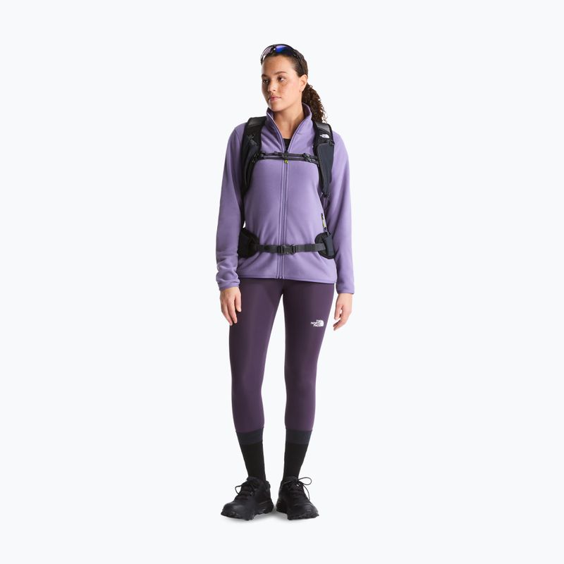 Vyriškas flisinis džemperis The North Face Glacier Fleece grounded plum 2