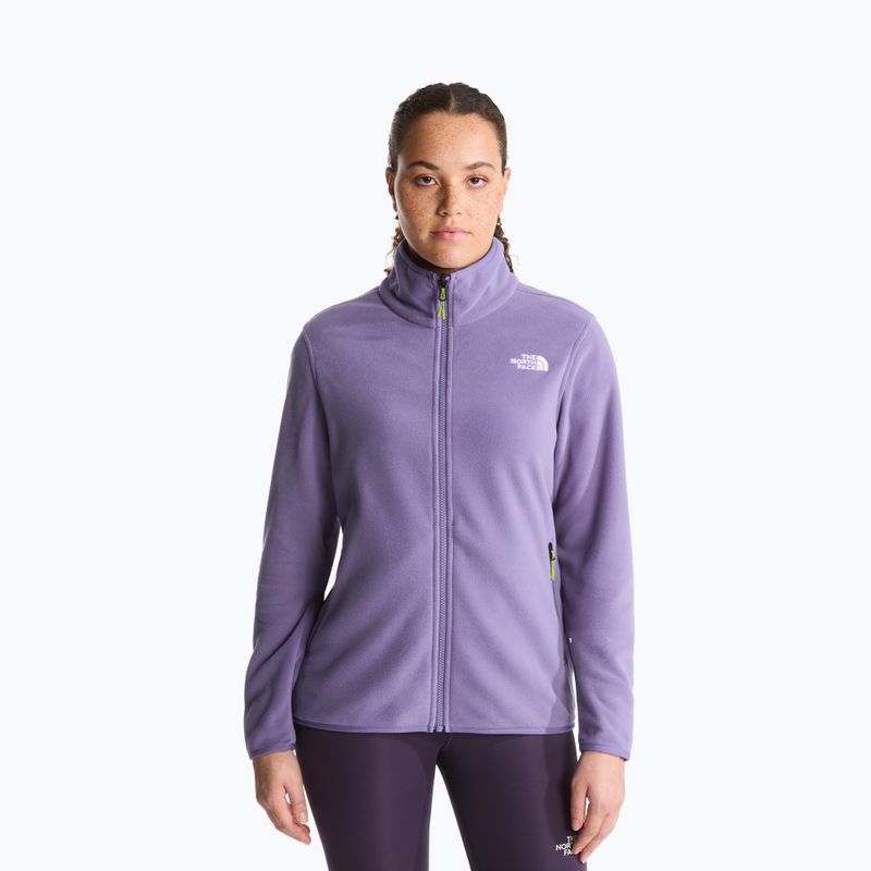 Vyriškas flisinis džemperis The North Face Glacier Fleece grounded plum
