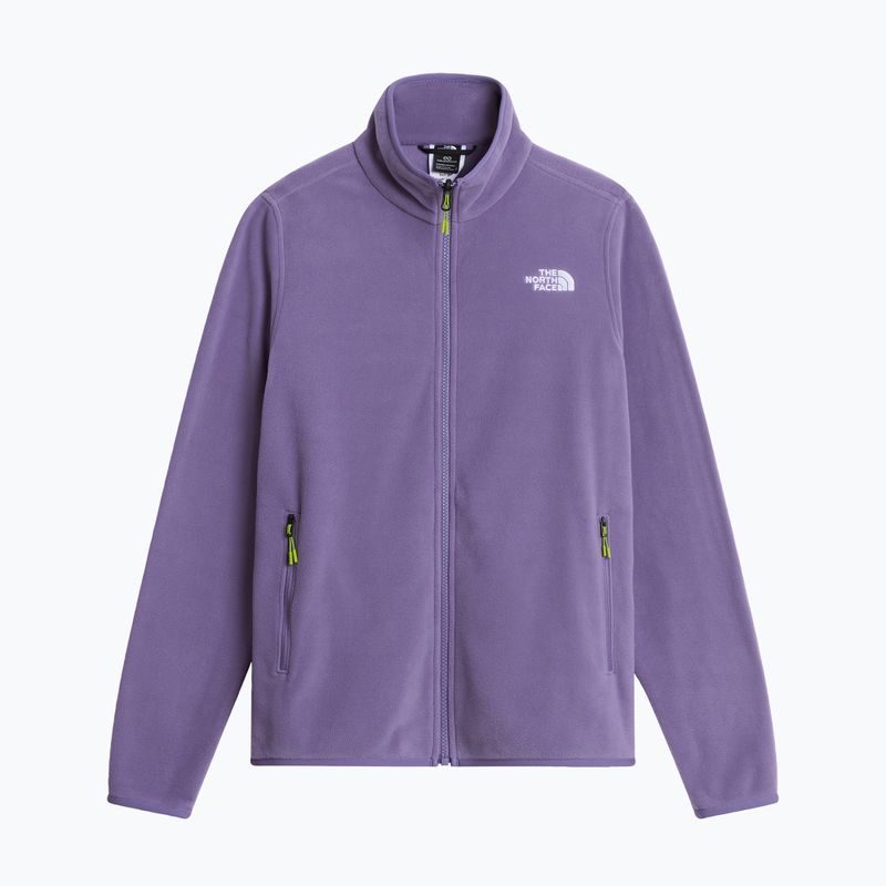 Vyriškas flisinis džemperis The North Face Glacier Fleece grounded plum 5