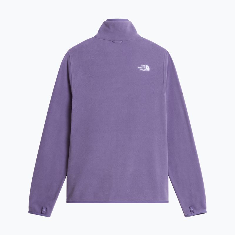 Vyriškas flisinis džemperis The North Face Glacier Fleece grounded plum 6