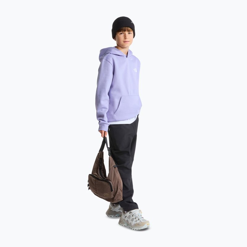 Vaikiškas džemperis The North Face Evolution Box NSE Pullover Hoodies pale plum 4