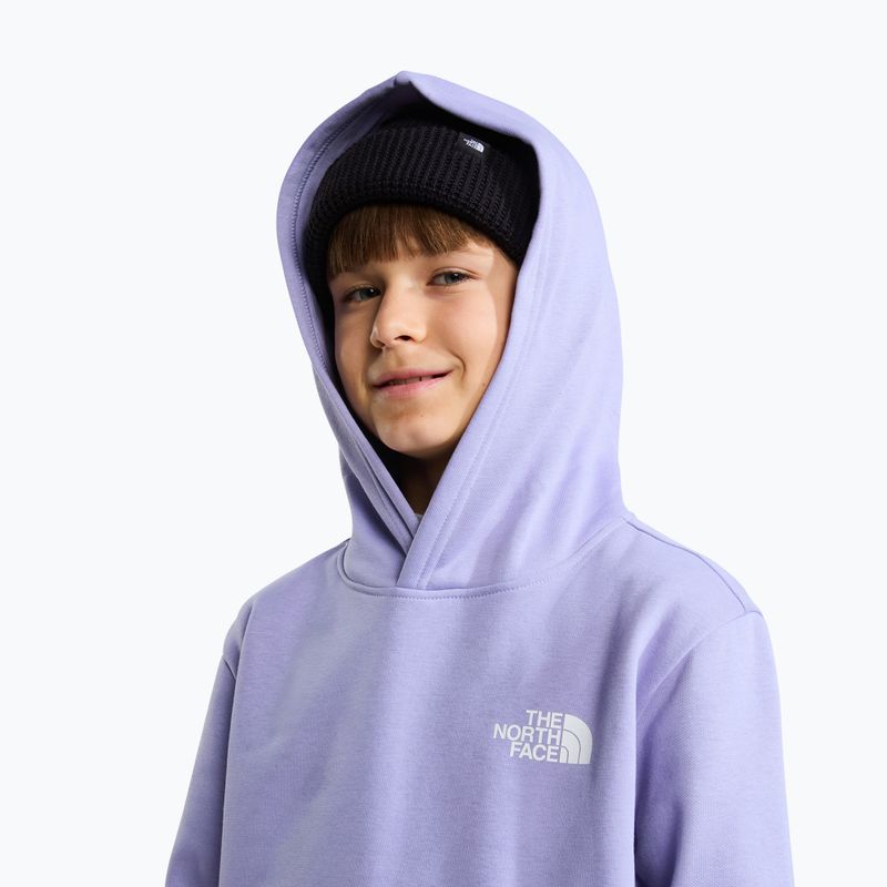 Vaikiškas džemperis The North Face Evolution Box NSE Pullover Hoodies pale plum 6