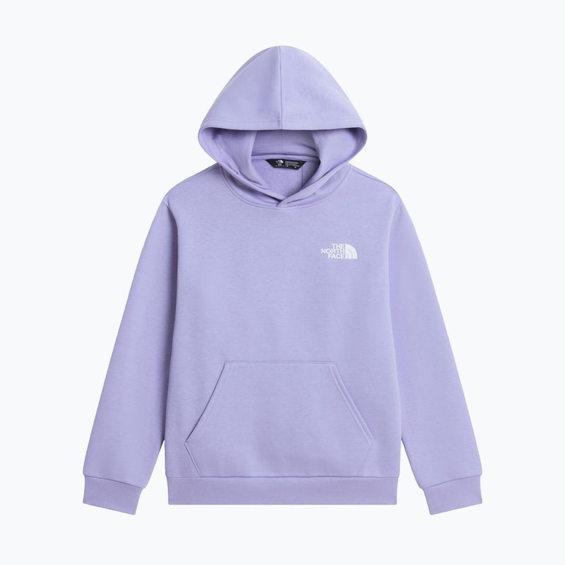 Vaikiškas džemperis The North Face Evolution Box NSE Pullover Hoodies pale plum 7