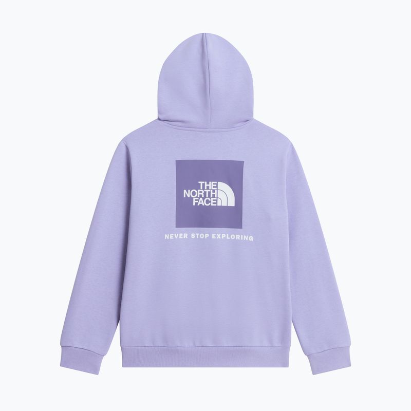 Vaikiškas džemperis The North Face Evolution Box NSE Pullover Hoodies pale plum 8