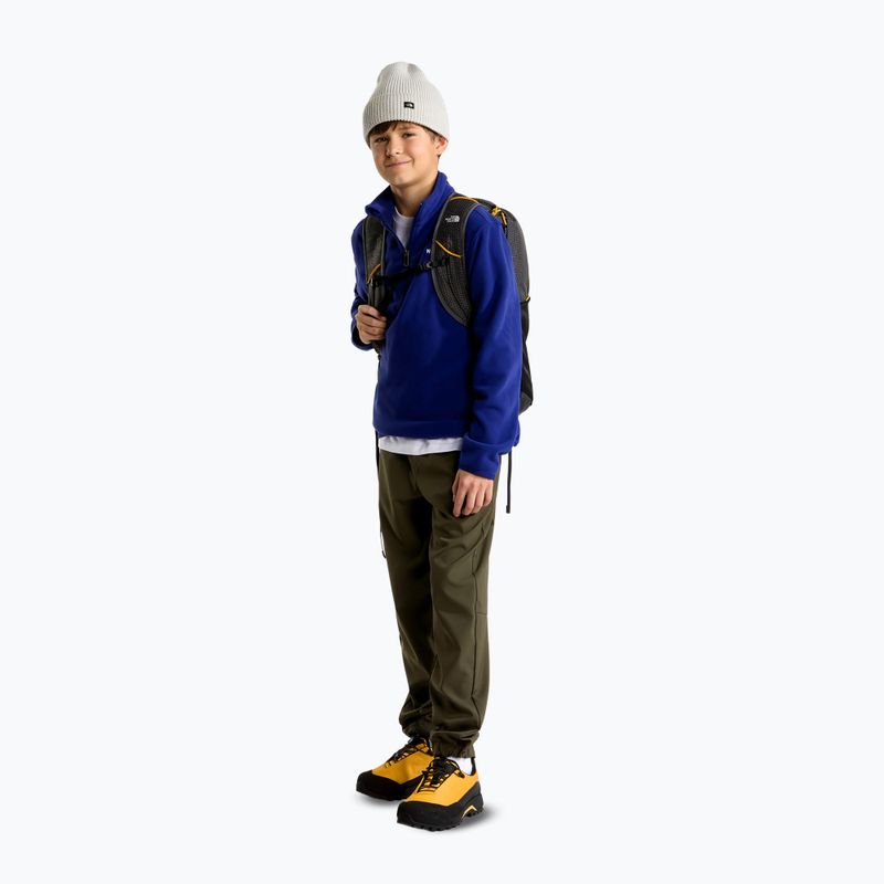 Vaikiškas flisinis džemperis The North Face Teen Glacier 1/4 Zip bold blue 2
