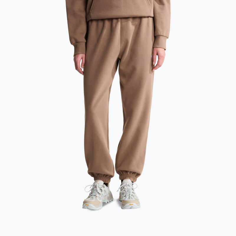 Moteriškos kelnės The North Face Evolution Simple Dome Regular garnet