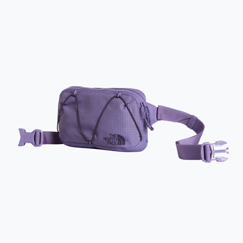 Juosmes krepšys The North Face Terra Lumbar 1 l grounded plum/endless 2