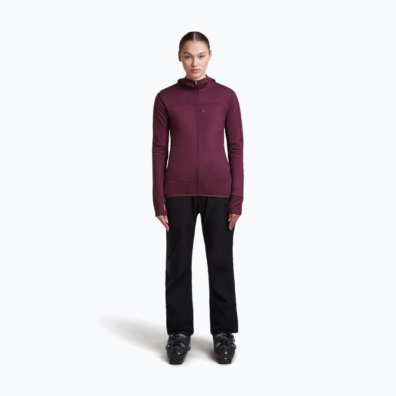 Moteriškas žygio džemperis Icebreaker Merino 300 Realfleece Descender Zip Hoodie dark berry 2