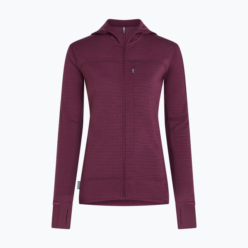 Moteriškas žygio džemperis Icebreaker Merino 300 Realfleece Descender Zip Hoodie dark berry 11