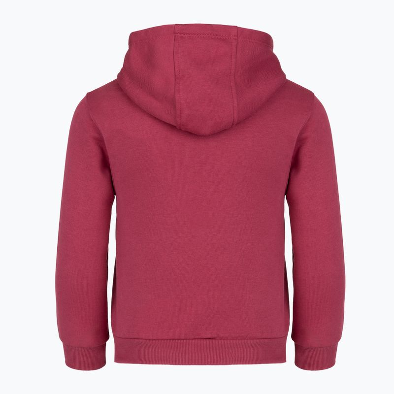 Vaikiškas sportinis kostiumas Nike Club Fleece sweet beet 4