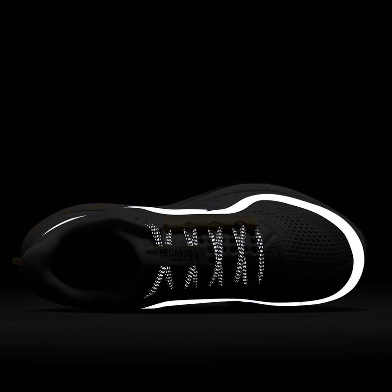 Moteriški bėgimo bateliai Nike Pegasus Premium sail/alabaster/anthracite/white 10