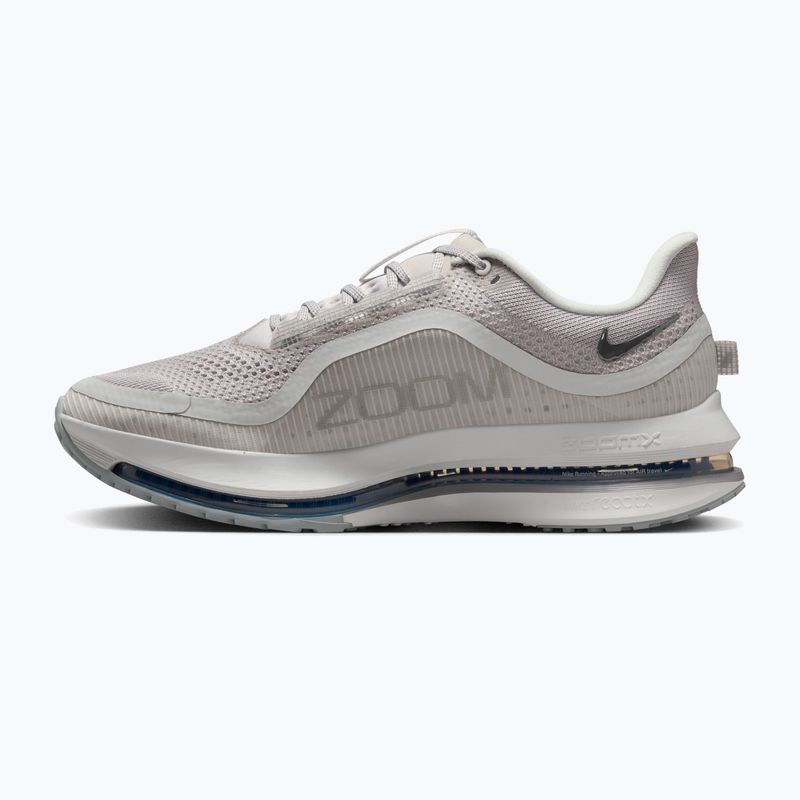 Vyriški bėgimo batai Nike Pegasus Premium vast grey/off white/light smoke grey 9