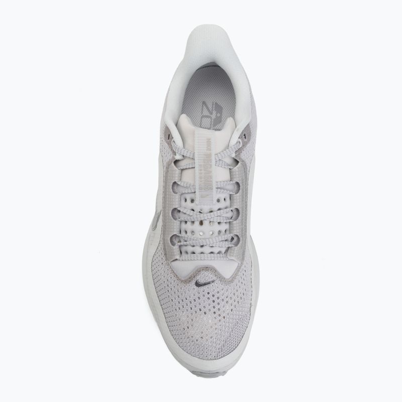 Vyriški bėgimo batai Nike Pegasus Premium vast grey/off white/light smoke grey 5