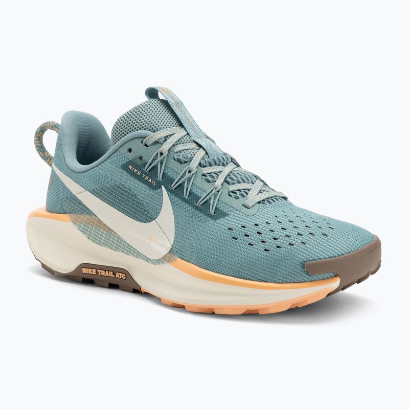 Moteriški bėgimo batai Nike Pegasus Trail 5 cannon / soft pearl / mink brown