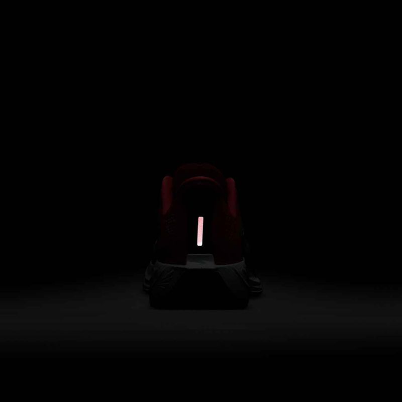 Moteriški bėgimo batai Nike Pegasus Plus bright crimson / deep royal blue / silt red 9