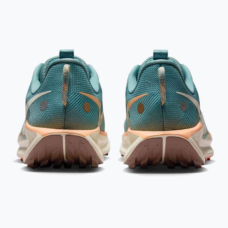 Moteriški bėgimo batai Nike Pegasus Trail 5 cannon / soft pearl / mink brown 4