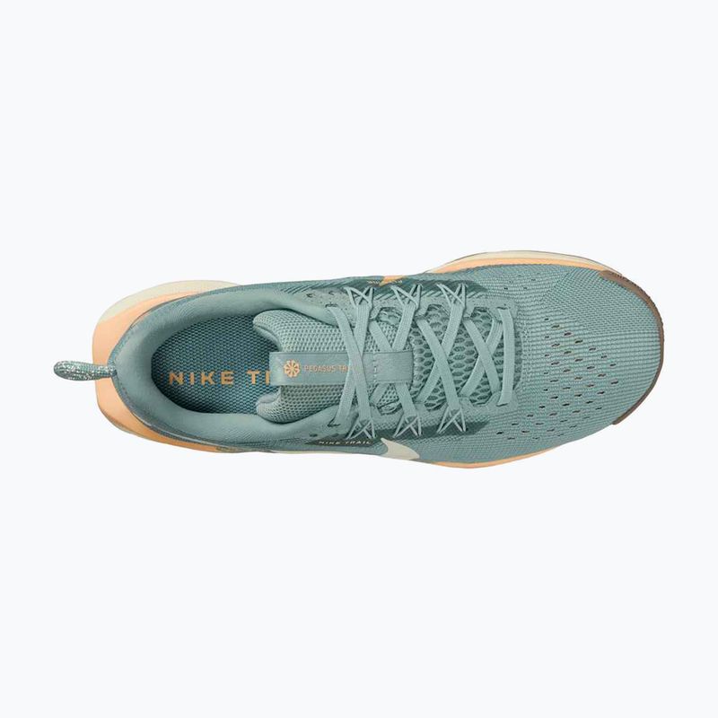 Moteriški bėgimo batai Nike Pegasus Trail 5 cannon / soft pearl / mink brown 6