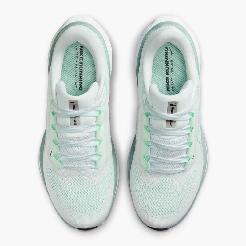 Moteriški bėgimo batai Nike Pegasus 41 white / mint foam / pure platinum / cannon 14