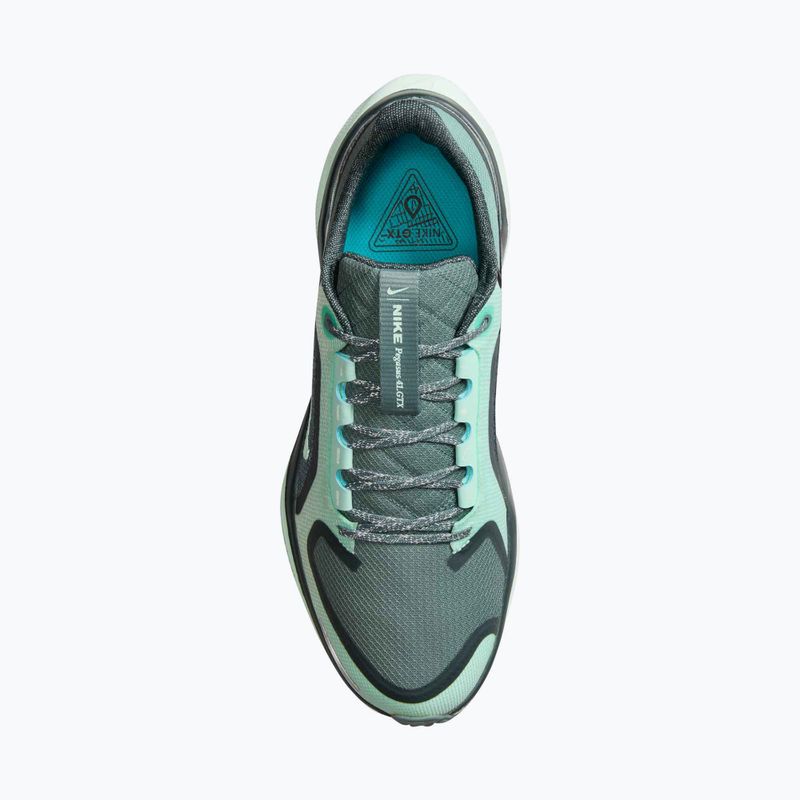 Moteriški bėgimo bateliai Nike Pegasus 41 GORE-TEX cannon/barely green/bleached turquoise 6