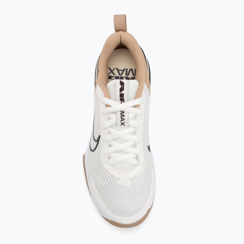 Vyriški treniruočių bateliai Nike Air Max Alpha Trainer 6 sail/baroque brown/hemp/desert dust 5