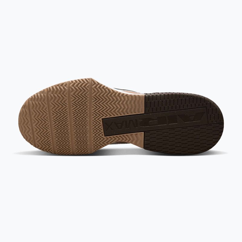 Vyriški treniruočių bateliai Nike Air Max Alpha Trainer 6 sail/baroque brown/hemp/desert dust 7