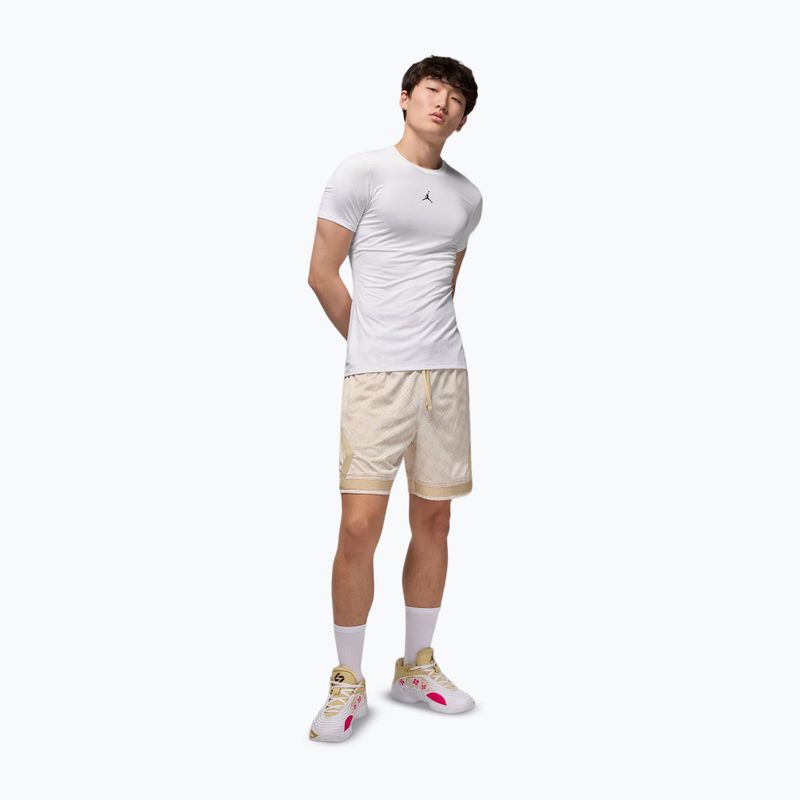 Vyriški termo marškinėliai Jordan Sport white/black 2