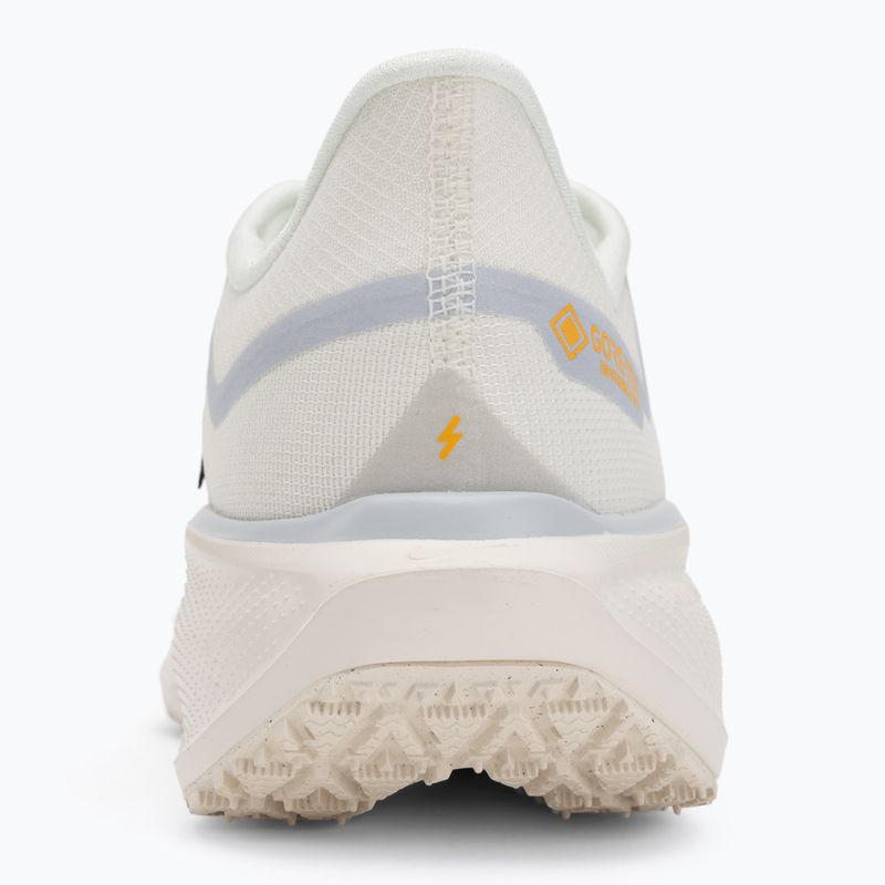 Vyriški bėgimo batai Nike Pegasus 41 GTX sail/football grey/sundial/ashen slate 6