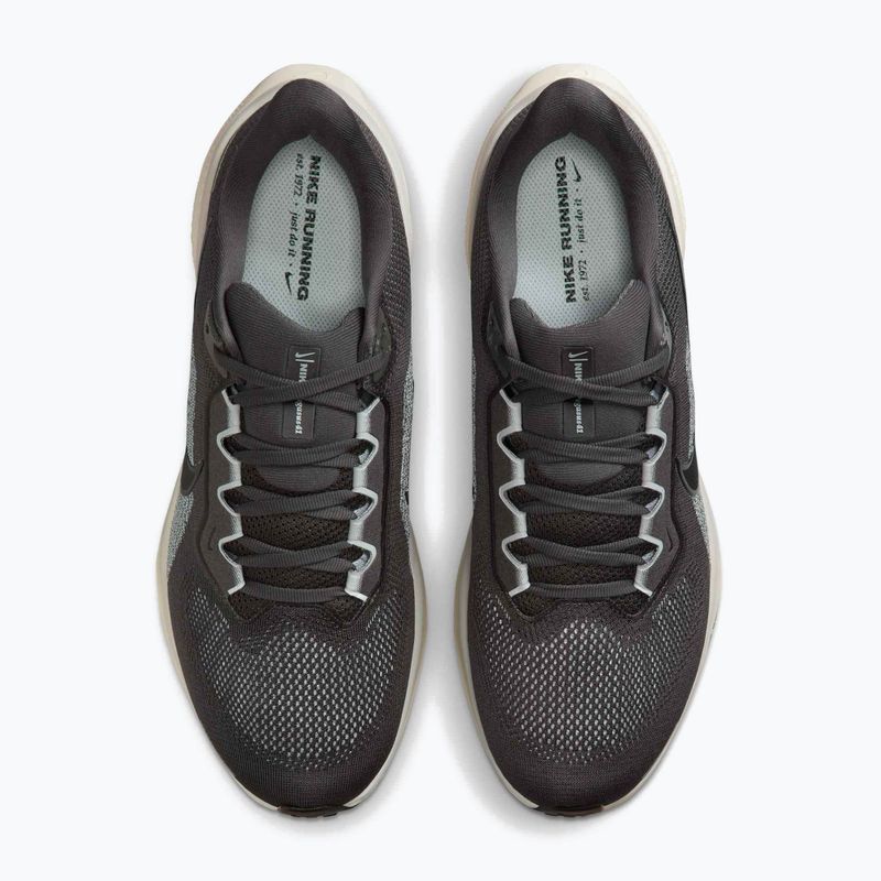 Vyriški bėgimo bateliai Nike Pegasus 41 medium ash/pure platinum/black 5