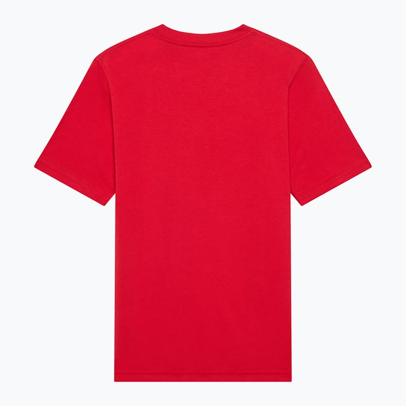 Vaikiški marškinėliai Fox Racing Fox Head Jr timber red 2