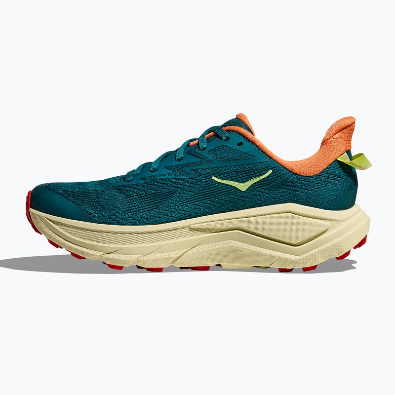 Moteriški bėgimo bateliai HOKA Challenger 8 tidal wave/pampas grass 4
