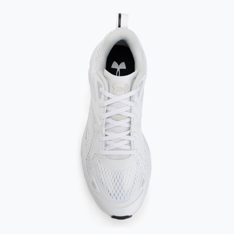 Treniruočių batai Under Armour Aura white/halo gray/black 5